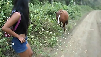 Cavalo E Gozada Interna: A Aventura Selvagem De Uma Adolescente Tailandesa No Equador